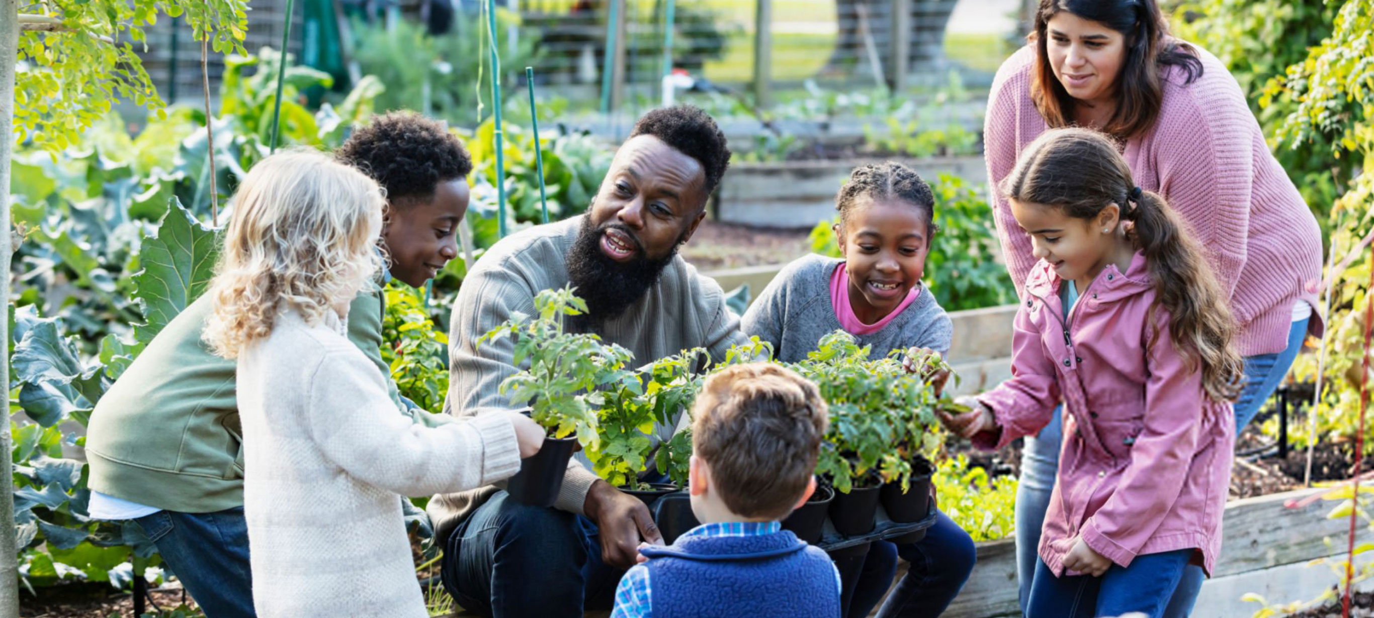 A man and his young students handle plants in an outdoor classroom.